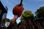 Thumbs/tn_Castlefest 2017 zondag 203.jpg